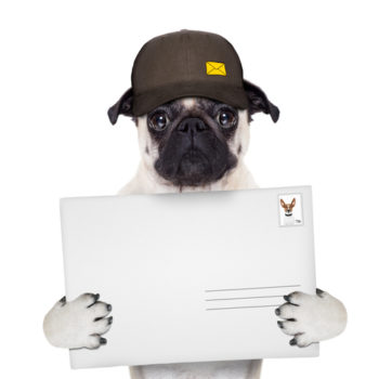 郵便を届ける犬